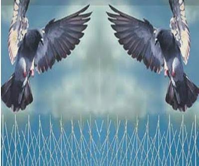 شركة تركيب شبك حمام بالدمام