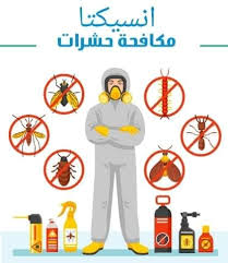 شركة مكافحة حشرات بجدة بمكة 